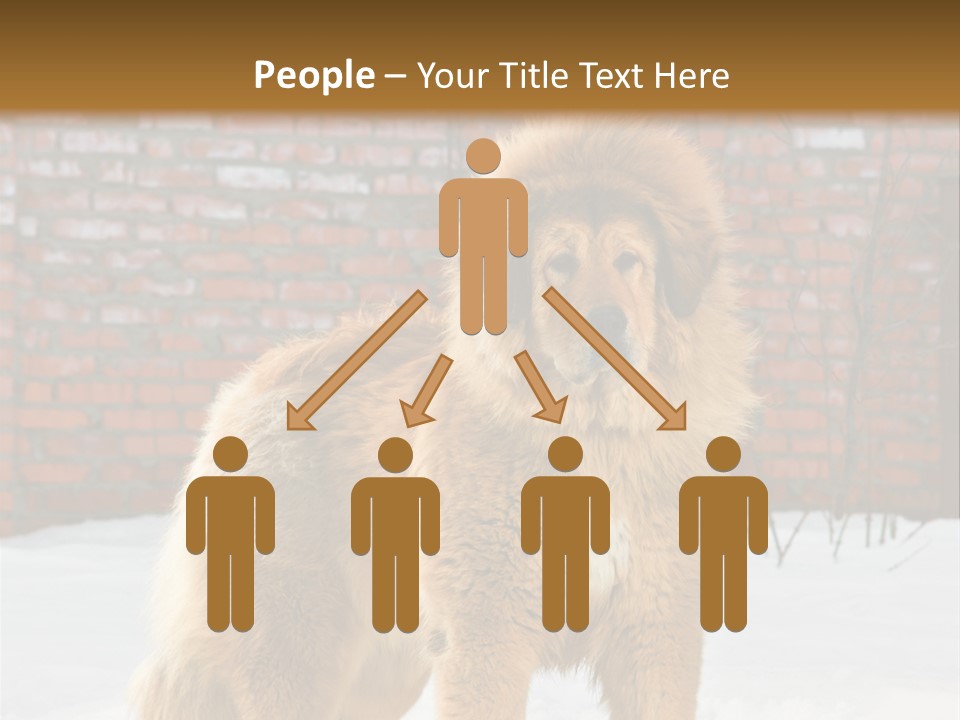 Agent Construction Construct PowerPoint Template