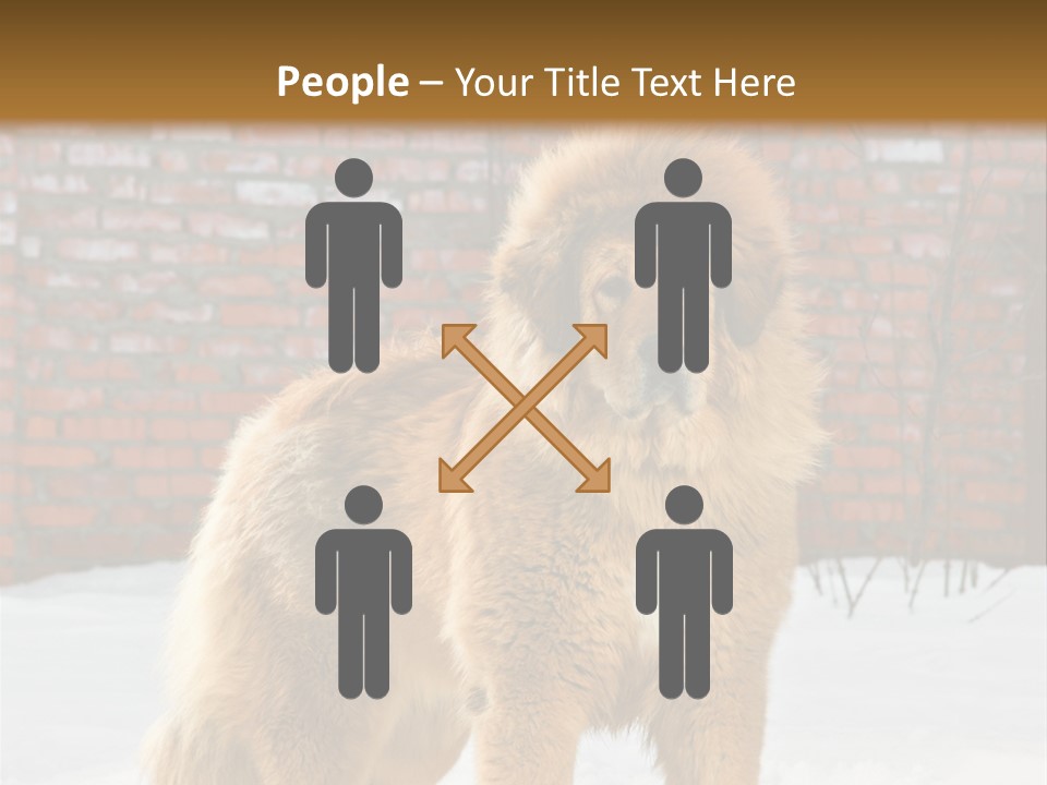 Agent Construction Construct PowerPoint Template