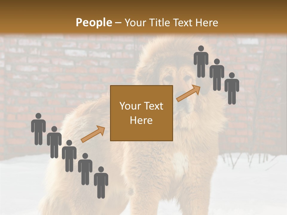 Agent Construction Construct PowerPoint Template