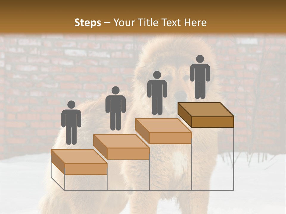 Agent Construction Construct PowerPoint Template