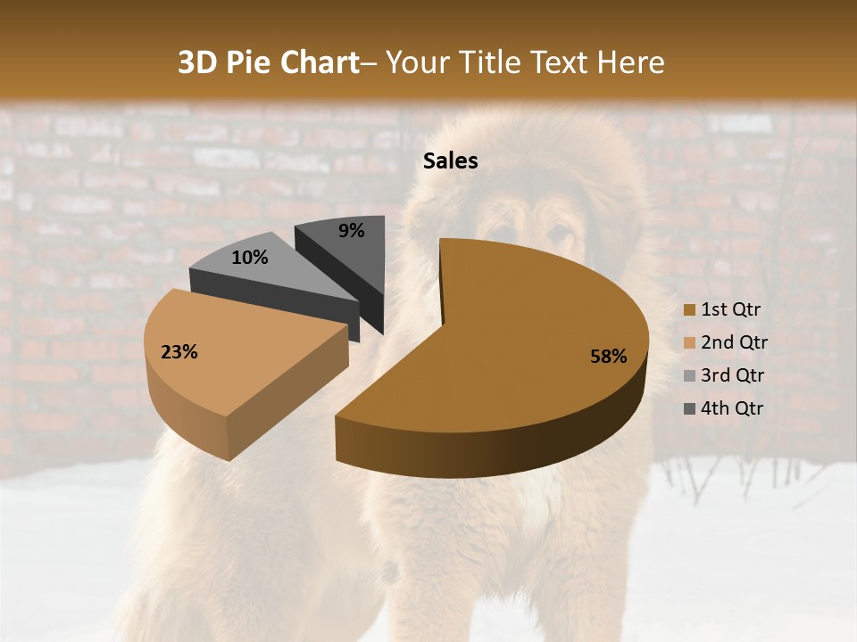 Agent Construction Construct PowerPoint Template