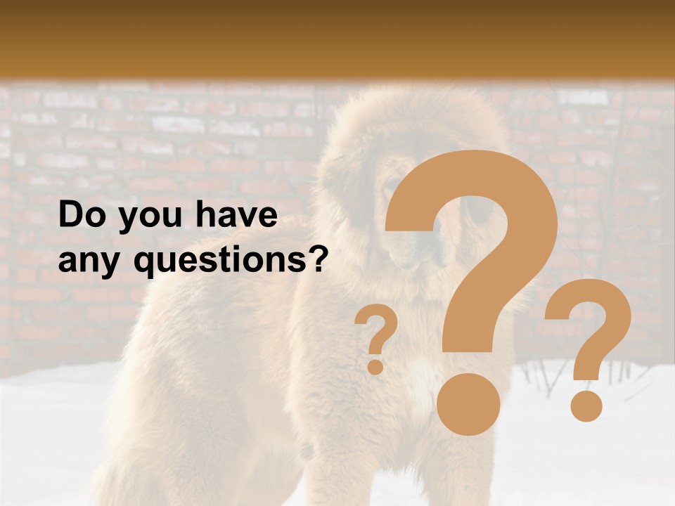 Agent Construction Construct PowerPoint Template