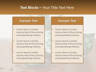 Conceptual Residential New PowerPoint Template