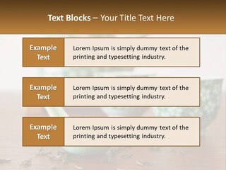 Conceptual Residential New PowerPoint Template