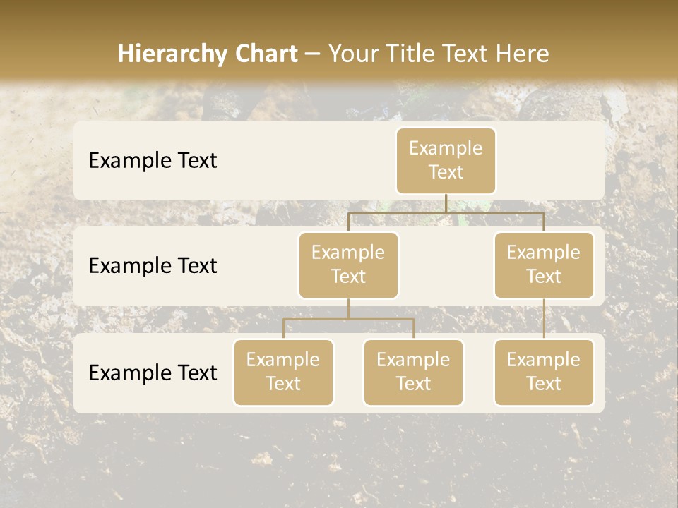 Made Agent Residential PowerPoint Template