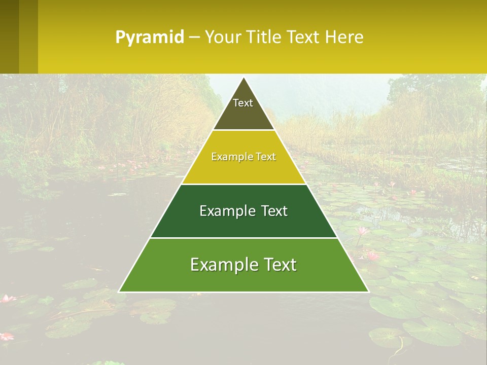 Lawn Agent Estate PowerPoint Template