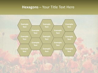 Investment Loan Business PowerPoint Template