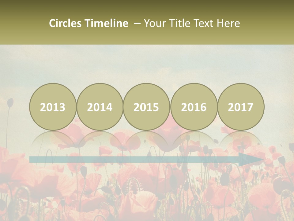 Investment Loan Business PowerPoint Template