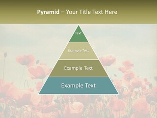 Investment Loan Business PowerPoint Template