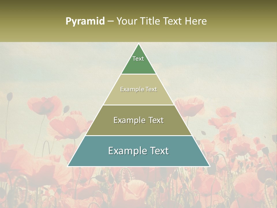 Investment Loan Business PowerPoint Template