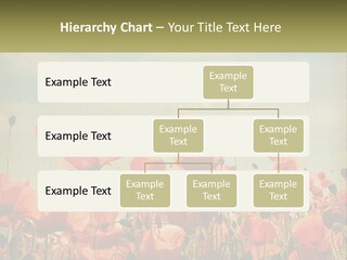 Investment Loan Business PowerPoint Template