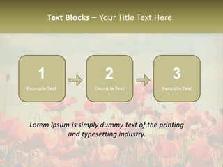 Investment Loan Business PowerPoint Template