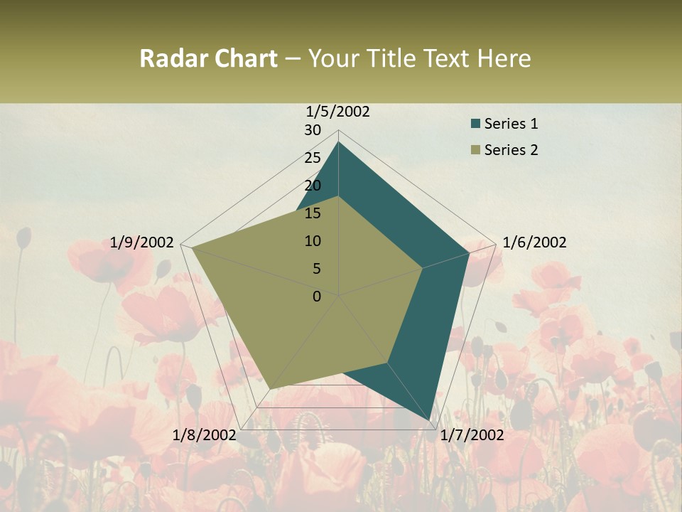 Investment Loan Business PowerPoint Template