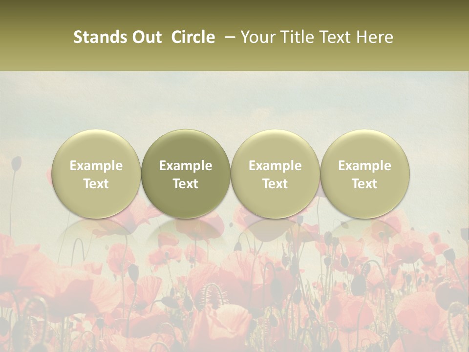 Investment Loan Business PowerPoint Template