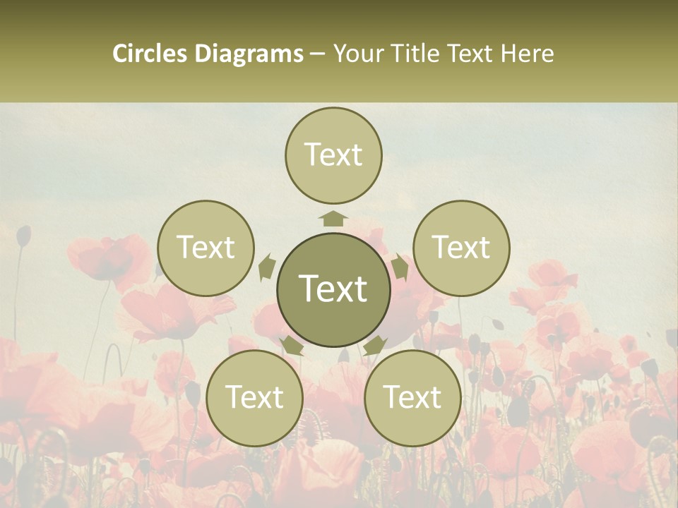 Investment Loan Business PowerPoint Template