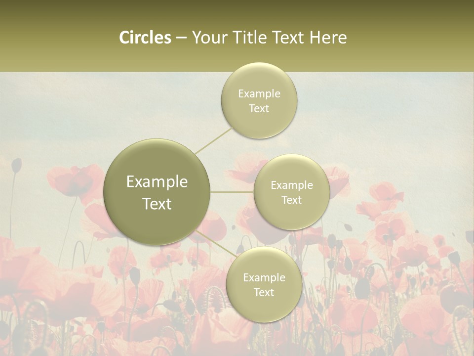 Investment Loan Business PowerPoint Template