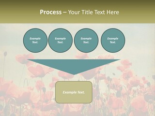 Investment Loan Business PowerPoint Template