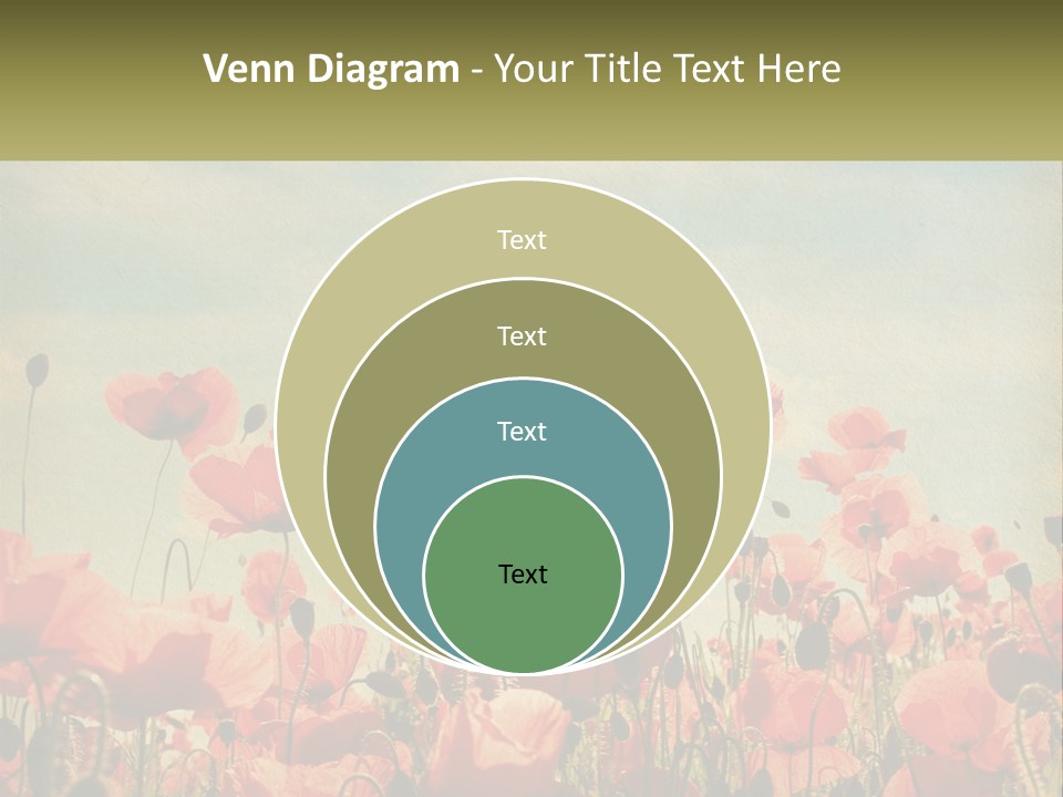 Investment Loan Business PowerPoint Template
