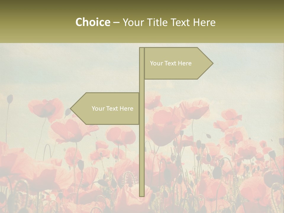 Investment Loan Business PowerPoint Template