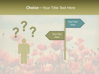 Investment Loan Business PowerPoint Template