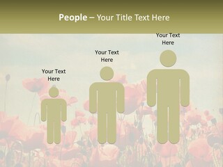 Investment Loan Business PowerPoint Template