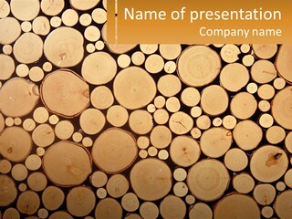 Purchase New Lawn PowerPoint Template