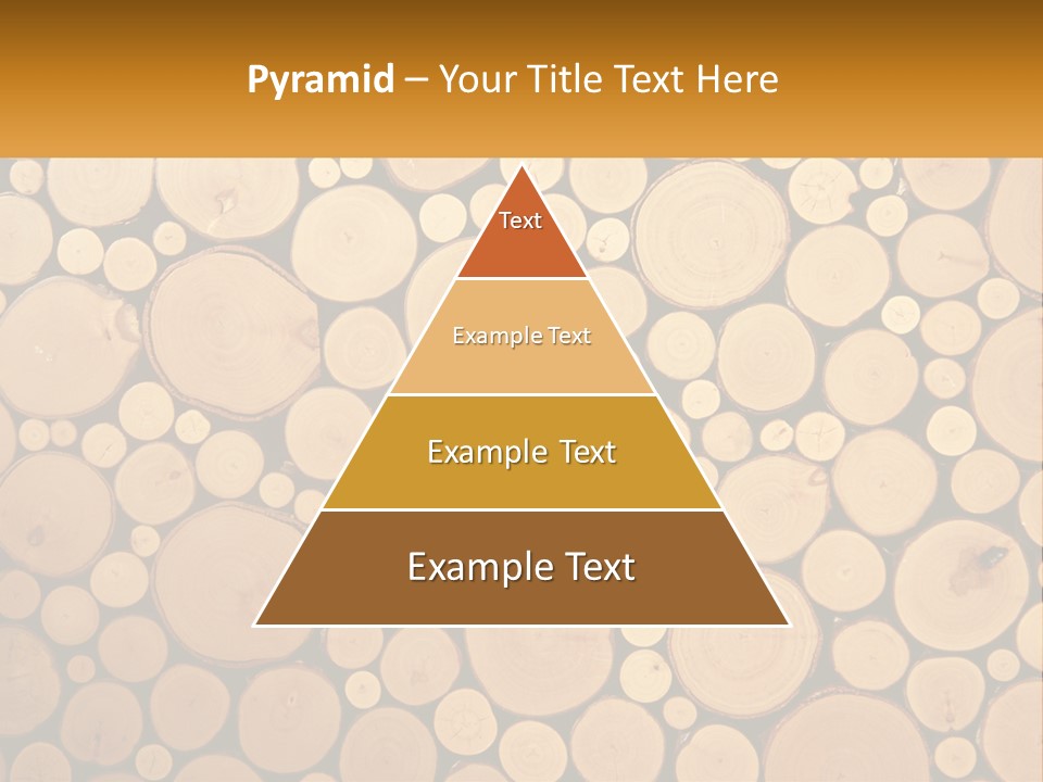 Purchase New Lawn PowerPoint Template