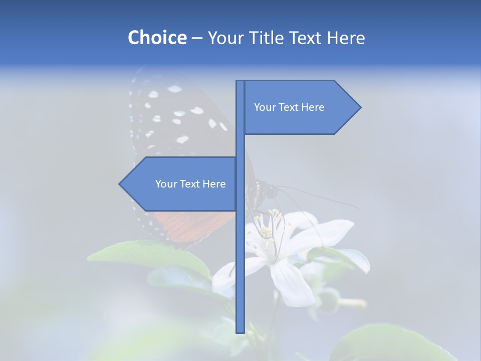 Hand Dream Grass PowerPoint Template