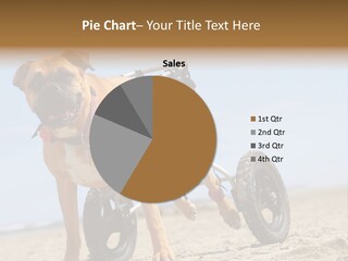 Hand Ownership Garden PowerPoint Template