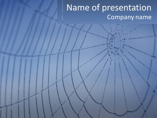 Purchase Man Background PowerPoint Template