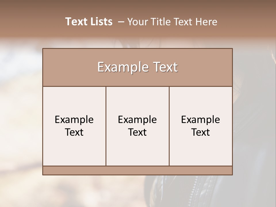 Loan Investment Model PowerPoint Template