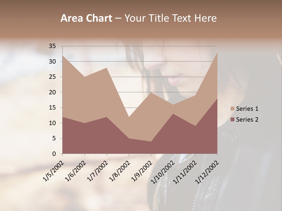 Loan Investment Model PowerPoint Template
