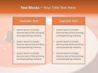 Home Build Purchase PowerPoint Template