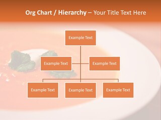 Home Build Purchase PowerPoint Template