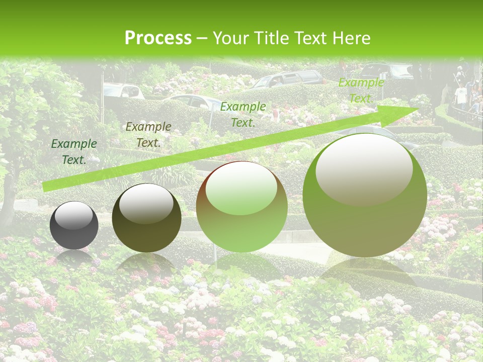 Park Estate Lawn PowerPoint Template
