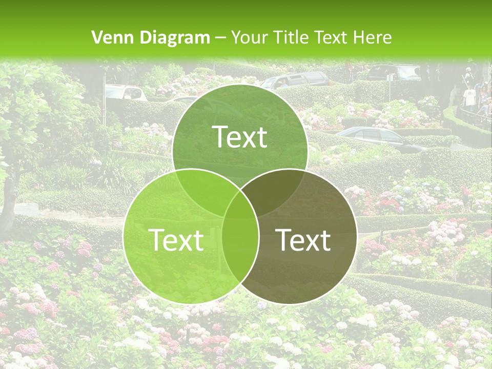 Park Estate Lawn PowerPoint Template