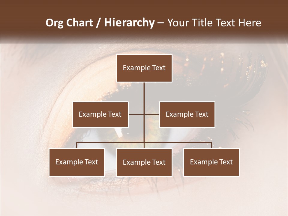 Business Home Ownership PowerPoint Template