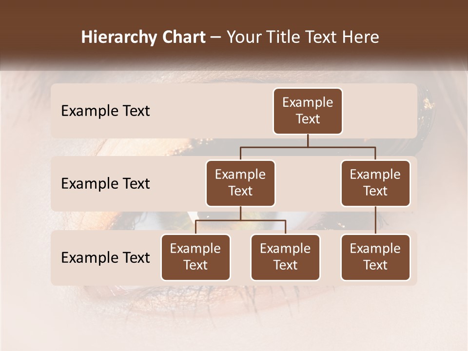 Business Home Ownership PowerPoint Template