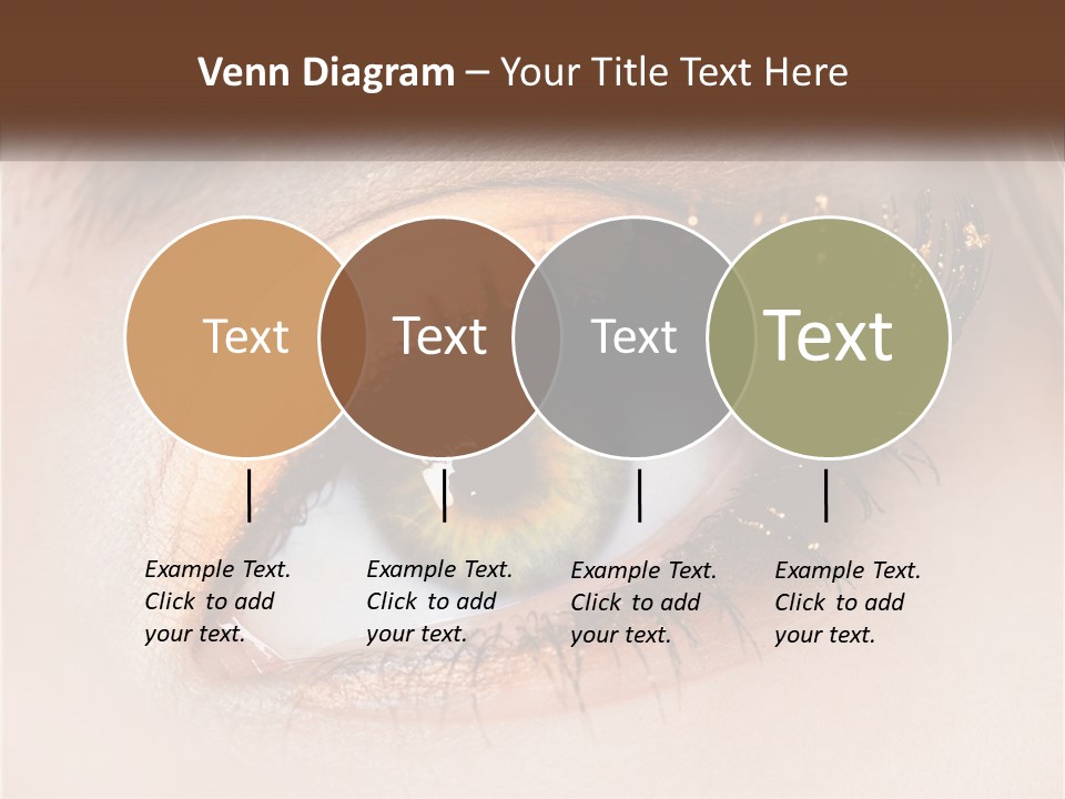 Business Home Ownership PowerPoint Template