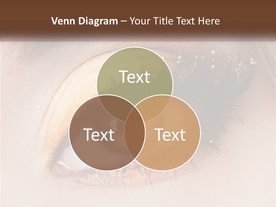 Business Home Ownership PowerPoint Template