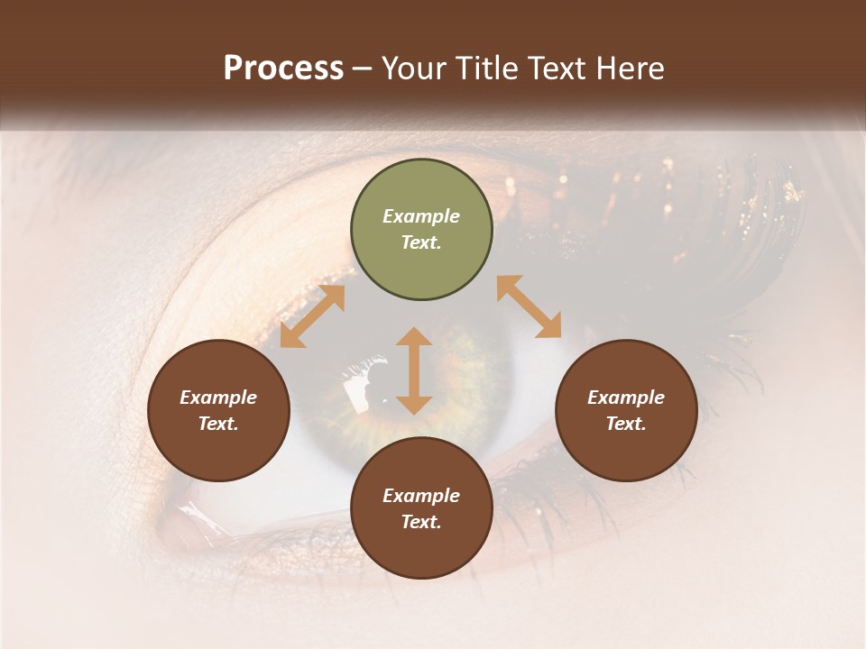 Business Home Ownership PowerPoint Template