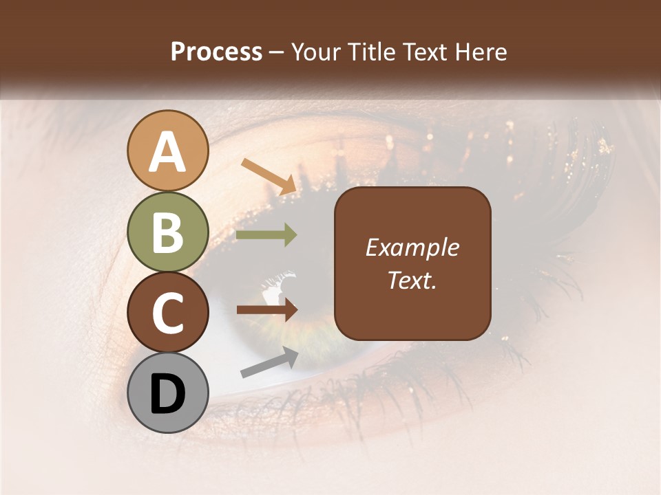 Business Home Ownership PowerPoint Template