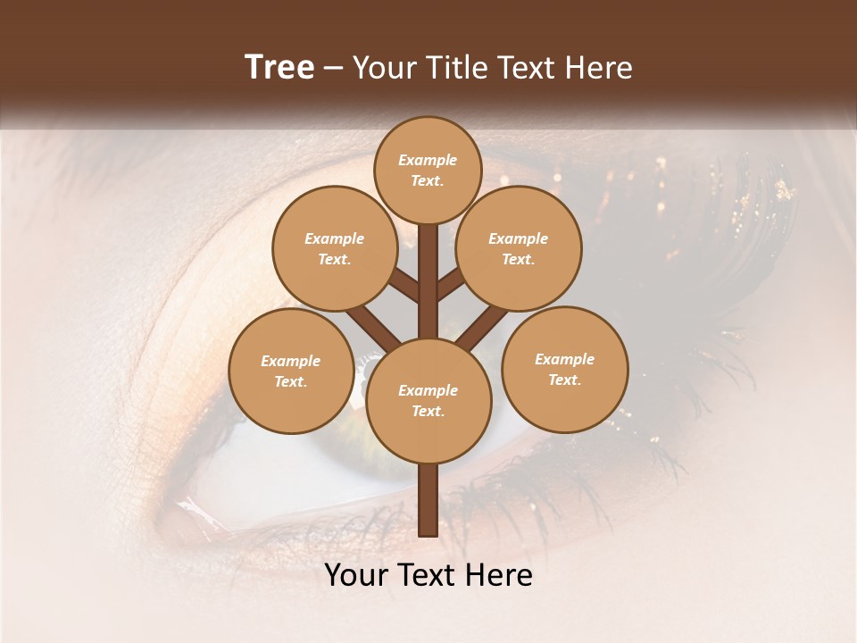 Business Home Ownership PowerPoint Template