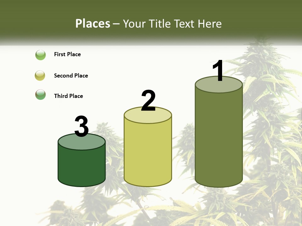 Leaf House Buy PowerPoint Template