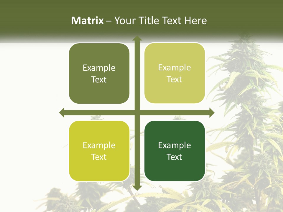 Leaf House Buy PowerPoint Template