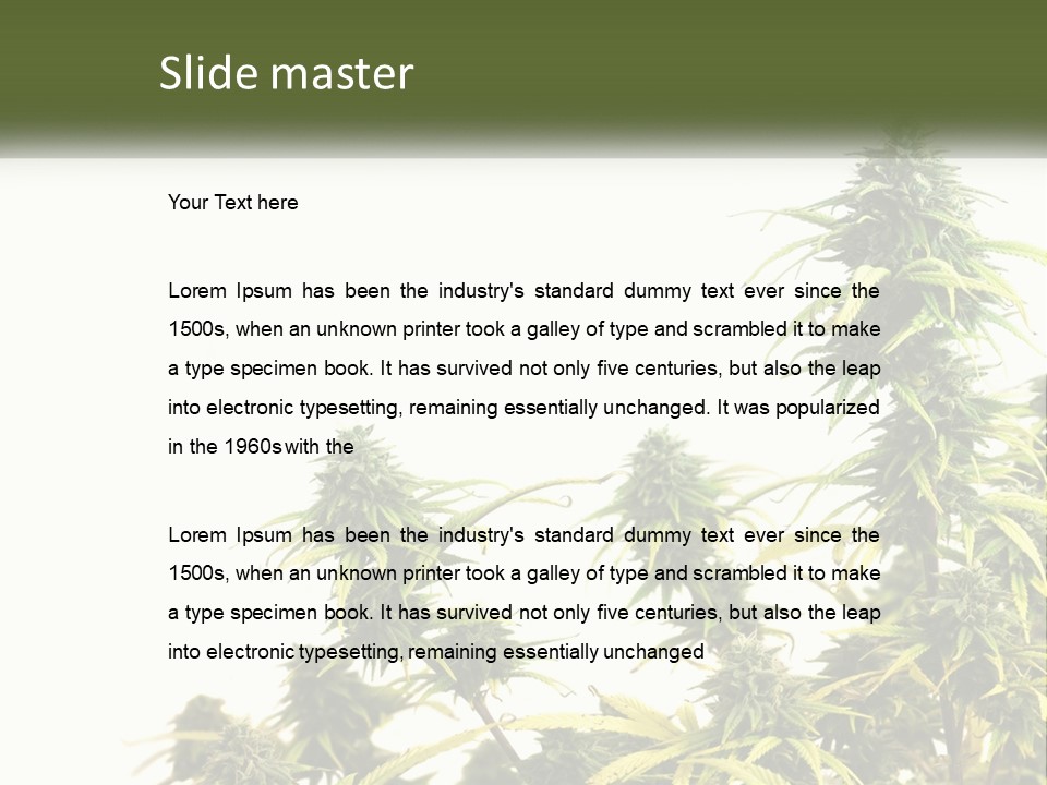 Leaf House Buy PowerPoint Template