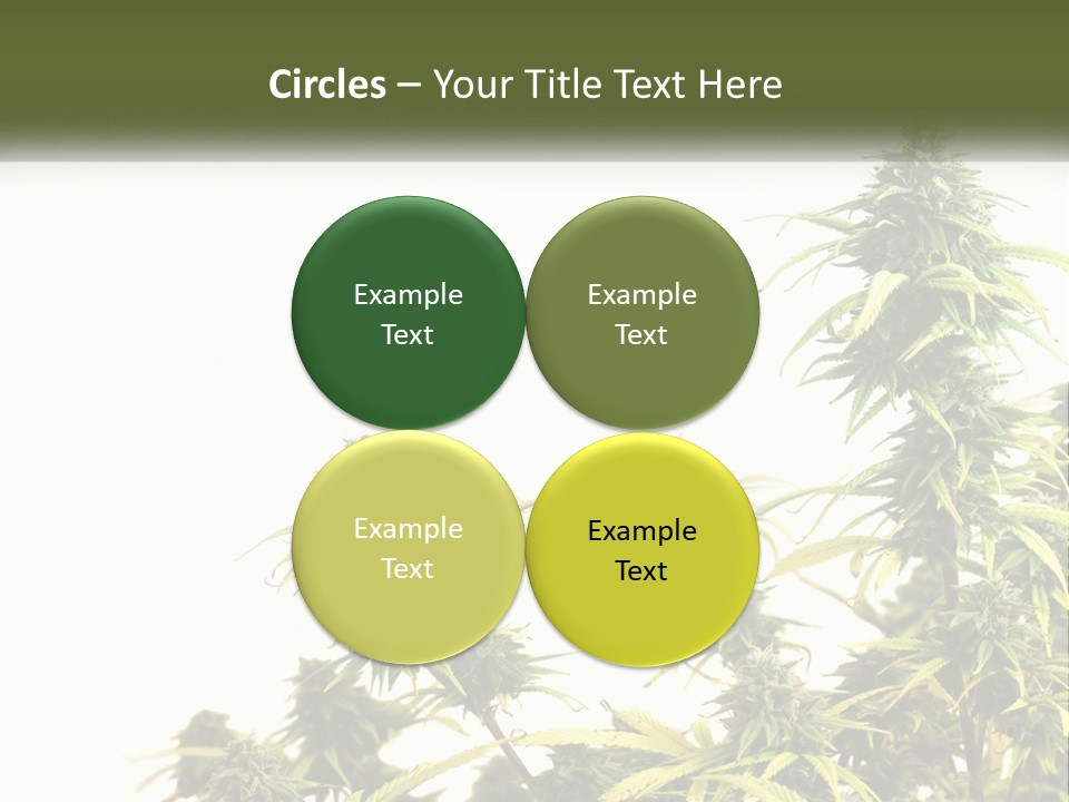 Leaf House Buy PowerPoint Template