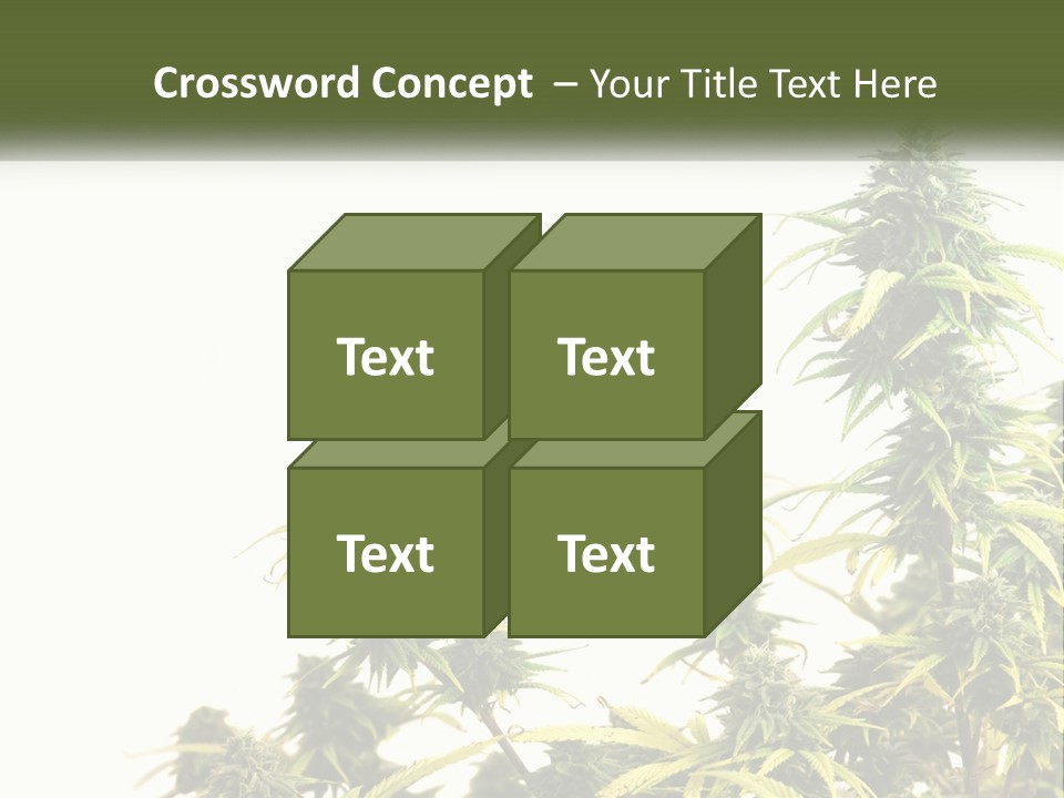 Leaf House Buy PowerPoint Template