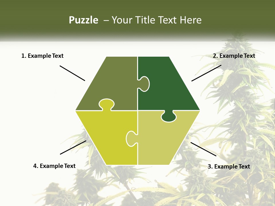 Leaf House Buy PowerPoint Template