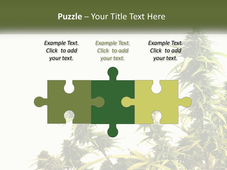 Leaf House Buy PowerPoint Template